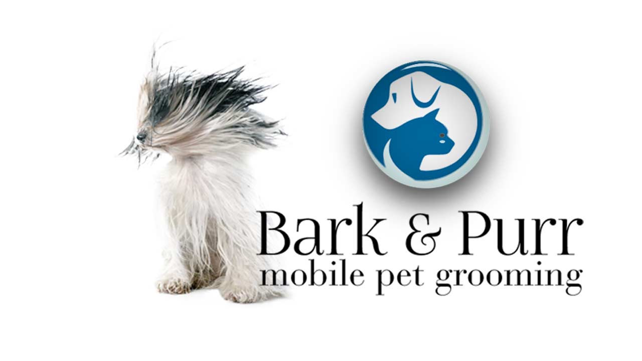 Bark & Purr Mobile Pet Grooming logo and website design by DigiGardin